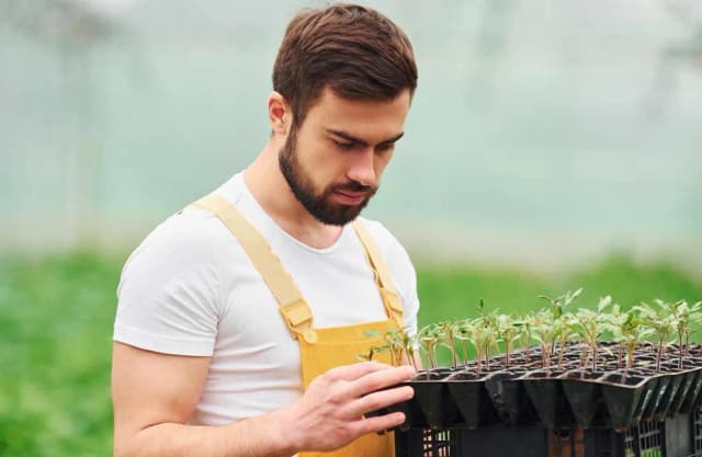 Umowa zlecenie 25 brutto ile to netto? Sprawdź, ile naprawdę zarobisz Umowa zlecenie 25 brutto ile to netto? Sprawdź, ile naprawdę zarobisz